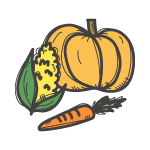 Validación Técnica